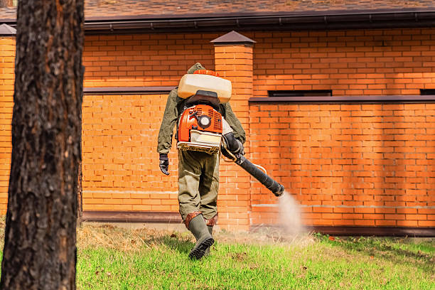 Bed Bug Clearance Verification and Documentation in Kaumakani